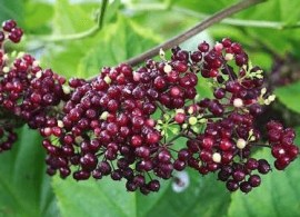 632e543d8fc10758e4cc4db348c867aa — kopiya